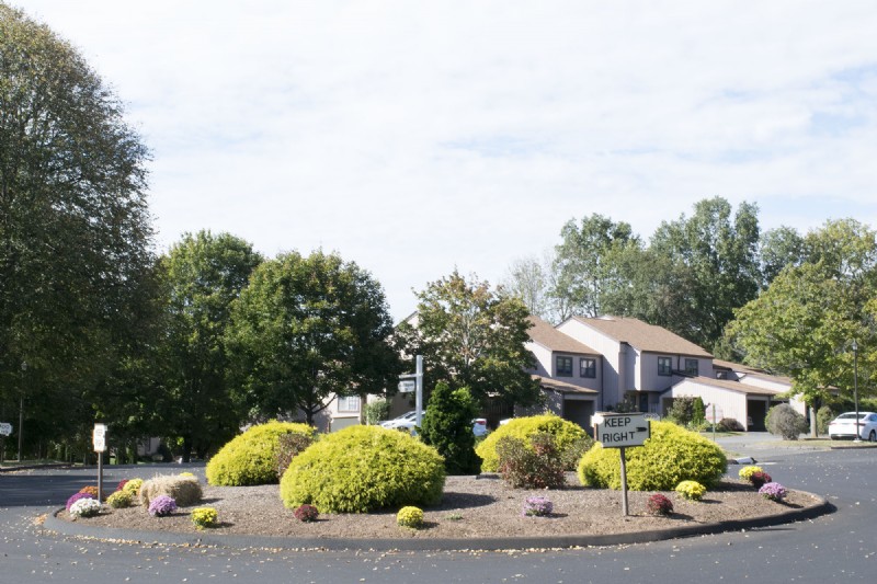 DSC_0038.jpg