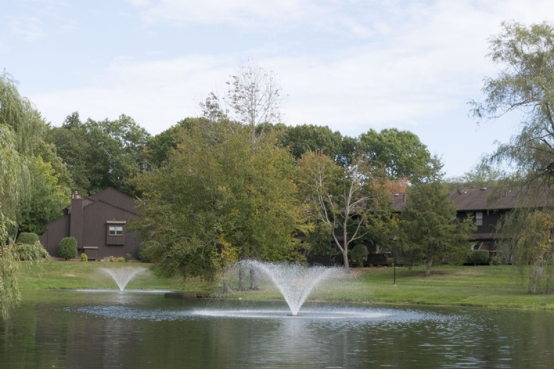 DSC_0147.jpg