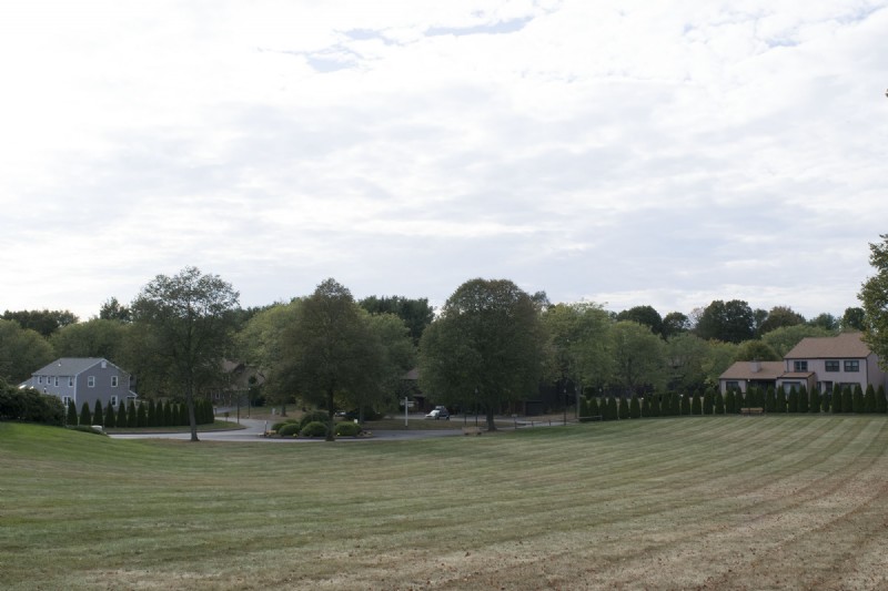 DSC_0231.jpg
