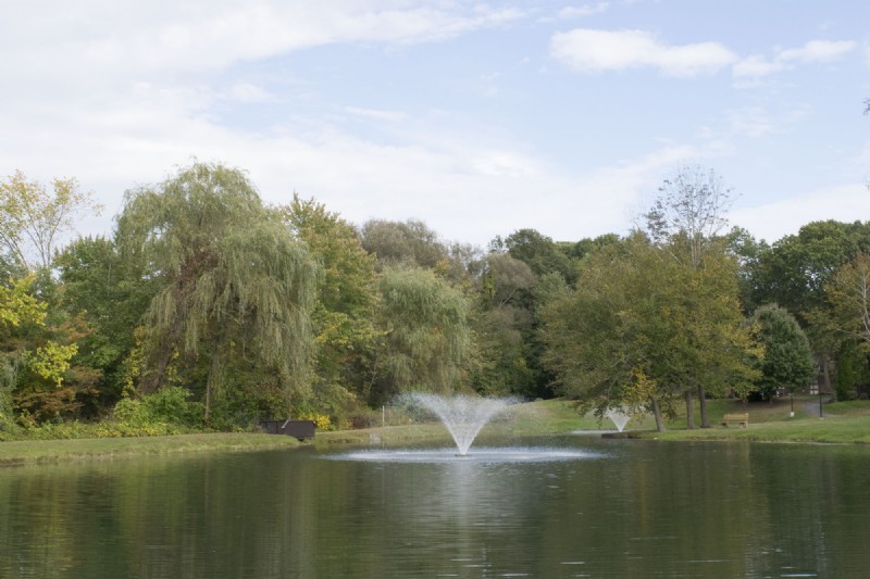DSC_0144.jpg