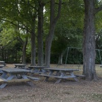 DSC_0259.jpg